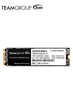 SSD 256G TG MS30 M.2 SATA III