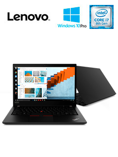Notebook Lenovo ThinkPad T490, 14